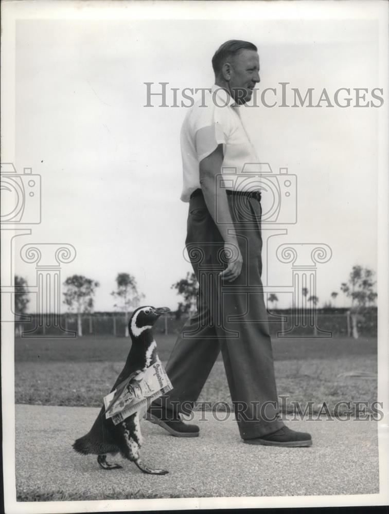 1958 Press Photo Pengy goes on a stroll with Adolph Frohn. - nec45582 - Historic Images