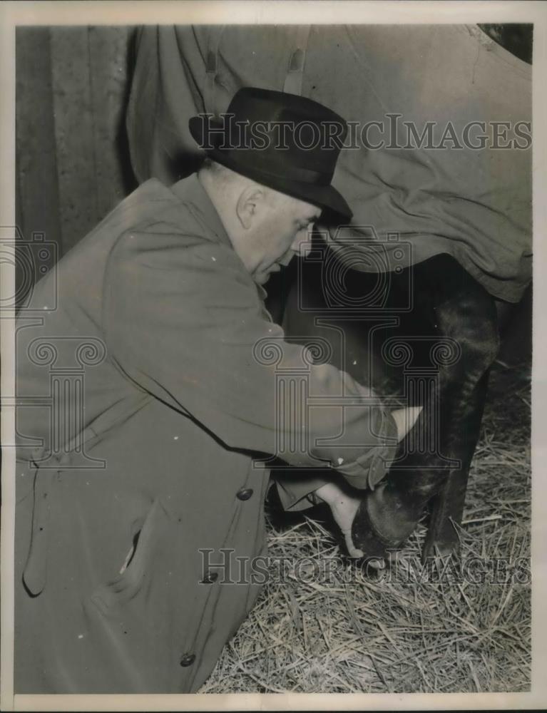 1939 Press Photo Belmont Park, NY Dr Frank C Beller, vet with horse Soreteado - Historic Images