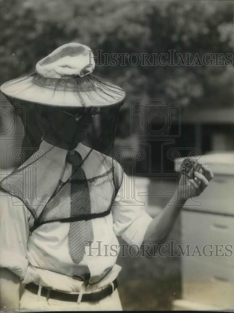 1931 Press Photo W. J. Nolan of US Department of Agriculture Bee Culture Lab - Historic Images