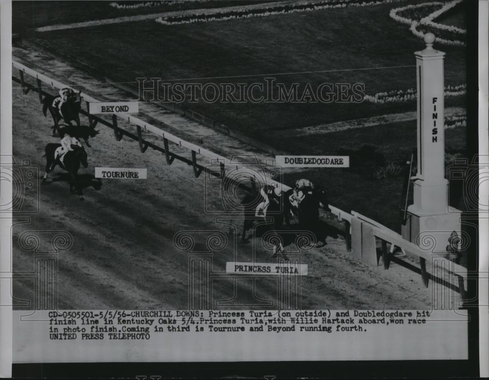 1956 Press Photo Princess Turia dead heat with Doubledogdare, Churchill Downs - Historic Images