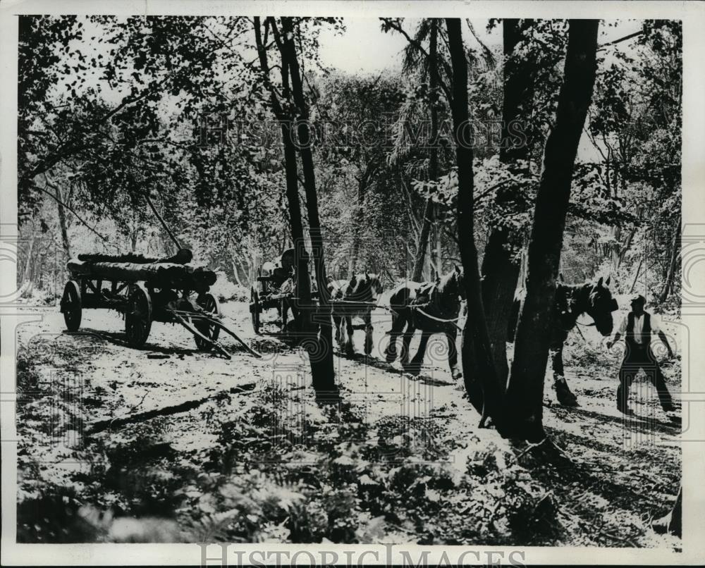 1933 Press Photo Surrey England Lumber Crew Horse And Wagon - Historic Images
