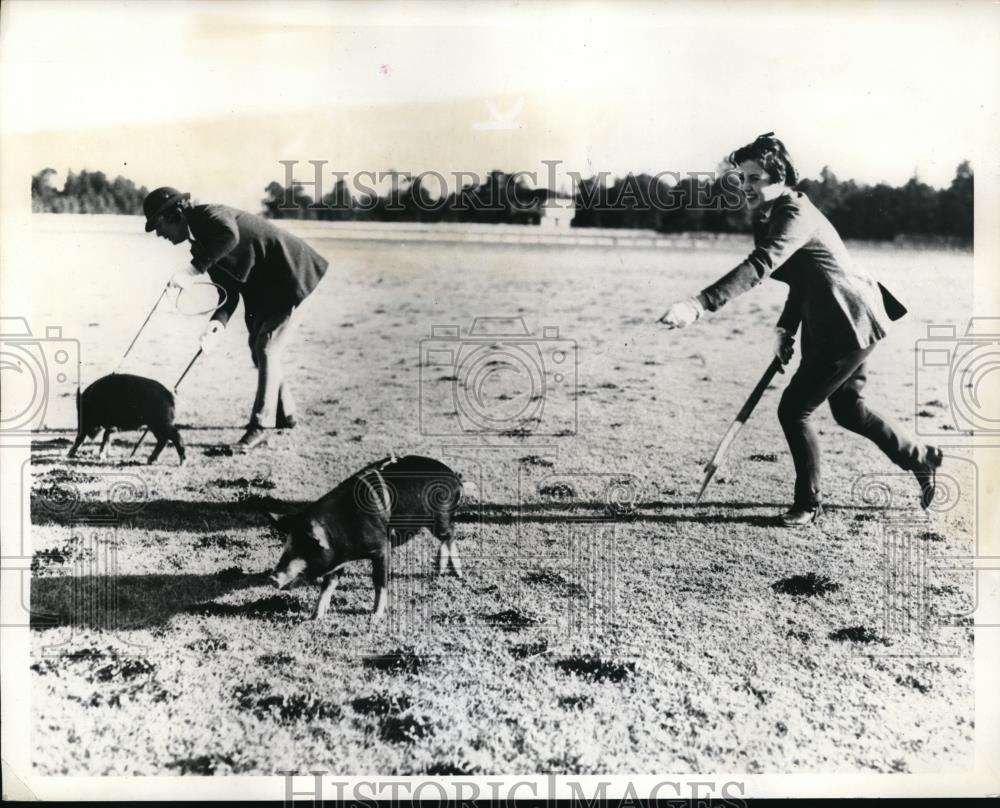 1934 Press Photo Anna M Baldauf & her pig win a race at Pinehurst, NC - Historic Images