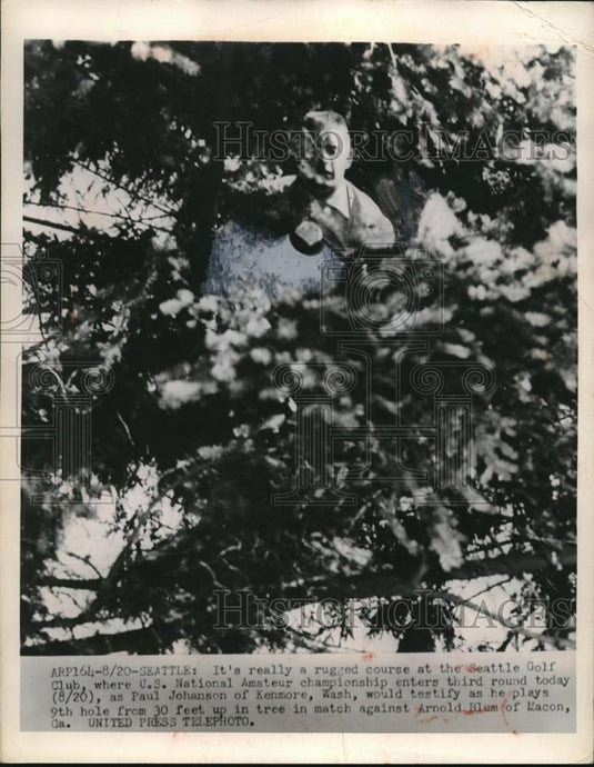 1952 Press Photo Paul Johnson Plays US Amatuer 30 ft. up in a tree - nes11872 - Historic Images