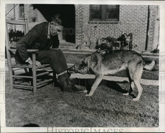 1938 Press Photo Mr Oppenheimer training his dog Curly - Historic Images