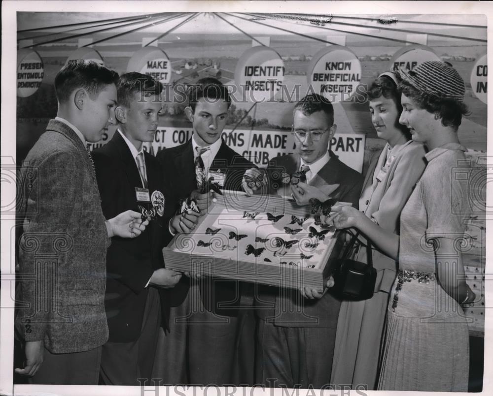 1952 Press Photo Chicago 4-H E Christmas,J Warner,Y Bucci,Christiansen, Harris - Historic Images