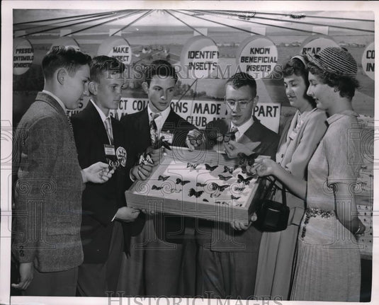 1952 Press Photo Chicago 4-H E Christmas,J Warner,Y Bucci,Christiansen, Harris - Historic Images