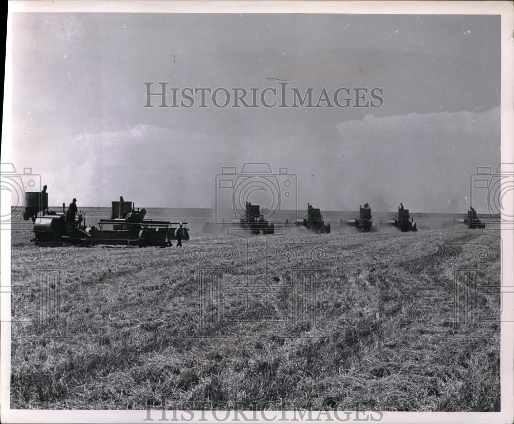 1956 Press Photo Combising Wheat Deaf Smith County - Historic Images