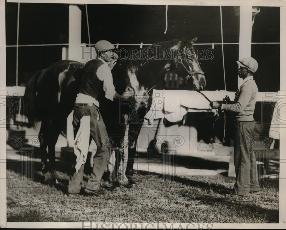 1932 Press Photo Racehorse Araba gets rubdown at Hialeah Park in Fla - nes15418 - Historic Images