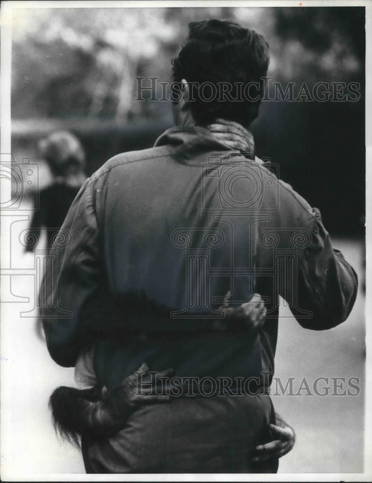 1972 Press Photo Rome, Italy Petronilla the orangutan & his keeper at zoo - Historic Images