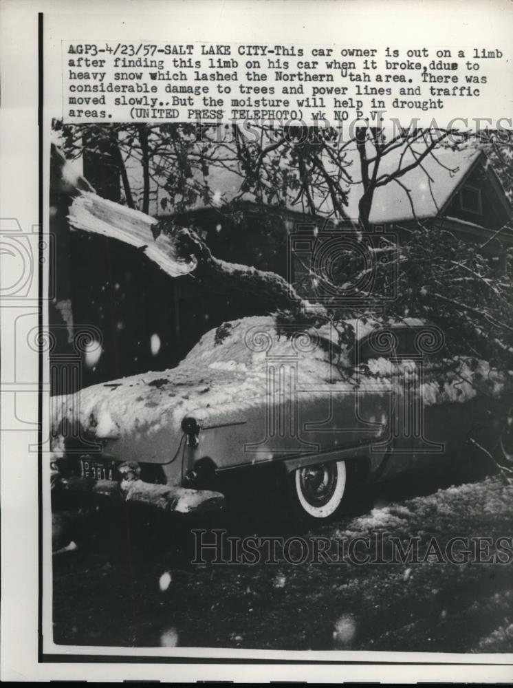 1957 Press Photo Tree Limb Damages Car After Heavy Snow - Historic Images