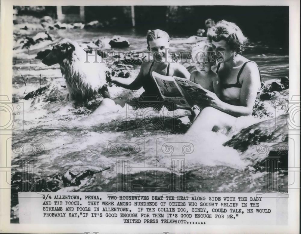 1953 Press Photo Allentown, Pa housewife beat heat wave in local streams - Historic Images