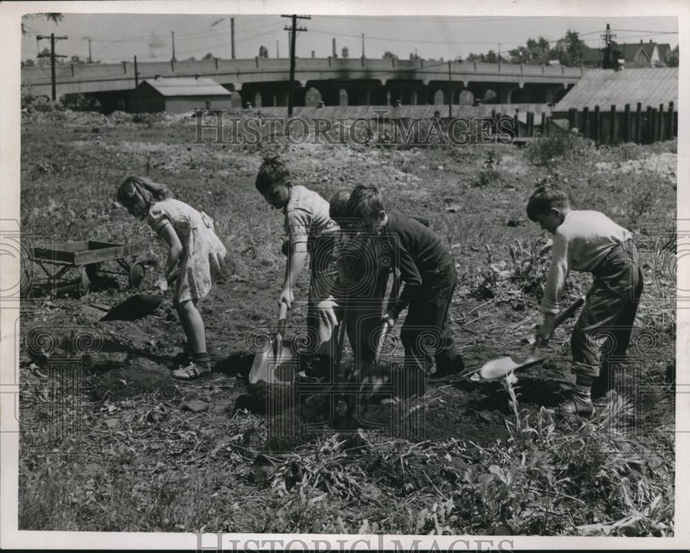 1947 Press Photo Willrich,Brown, Litwin,Kmetz, Vasarhelvi gardening - Historic Images