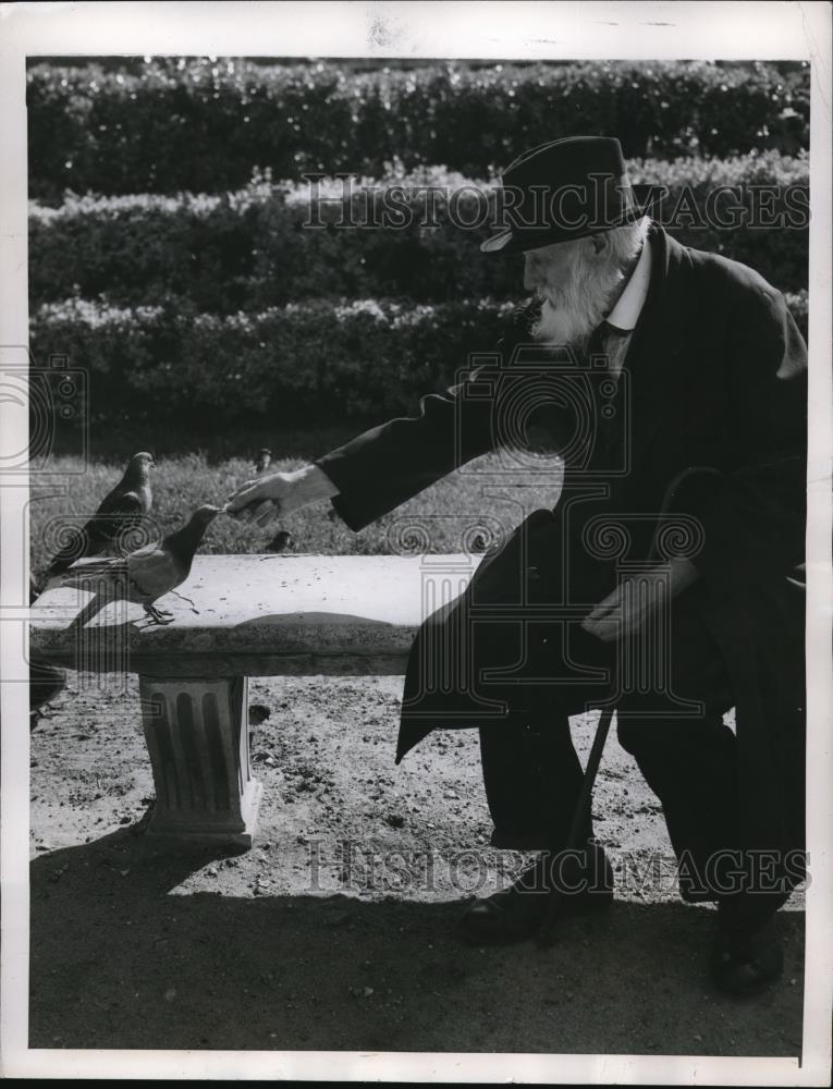 1946 Press Photo Old Gentleman feeds pigeons in Paris Park - Historic Images