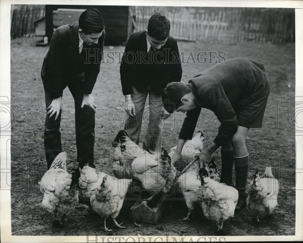 1942 Press Photo Derek Lee, Ken Gilbert, Dave Jenkins &amp; hens at a farm - Historic Images