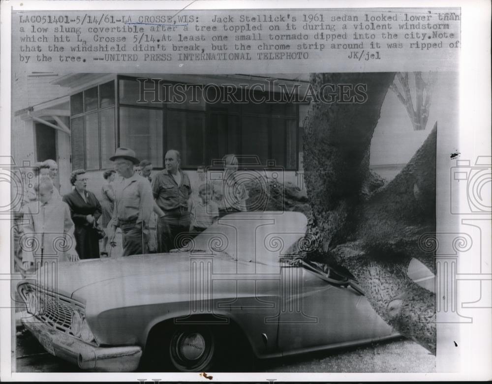 1961 Press Photo fallen tree hits Jack Stellick&#39;s 1961 sedan, La Crosse, WI - Historic Images