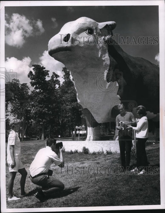 1966 Press Photo Miniature Bull Photographed by Huge Bull Statue in Audubon - Historic Images