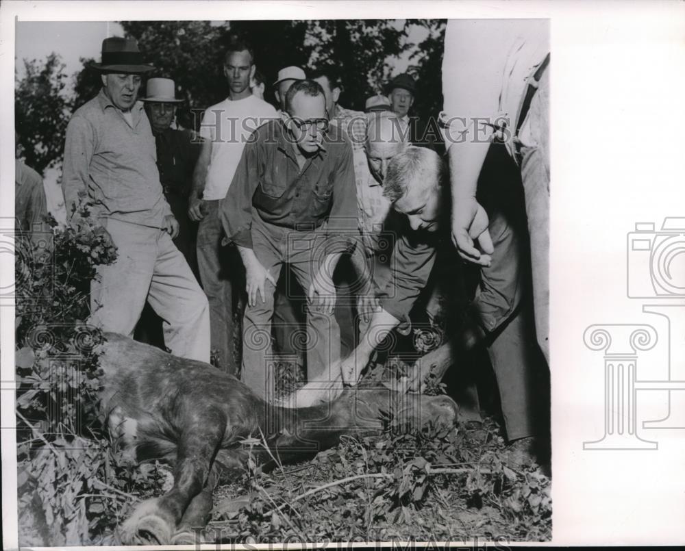 1958 Press Photo Shetland Pony owned by R. J. Smith dies after rescue from well - Historic Images