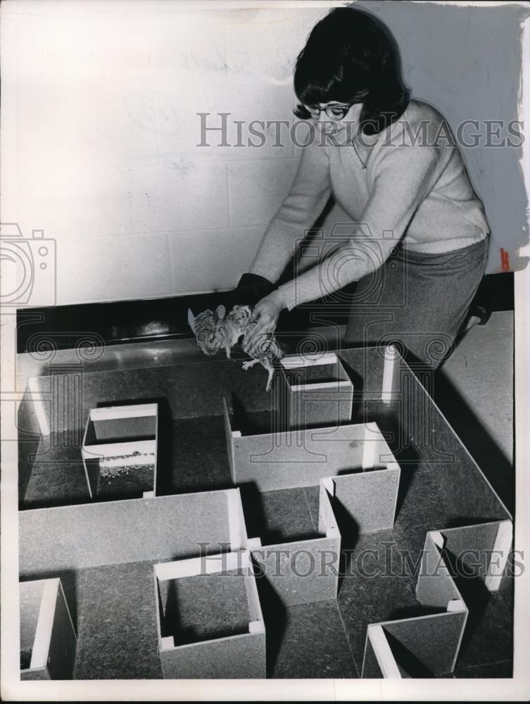 1965 Press Photo Loren Allen Wicklithe School - Historic Images