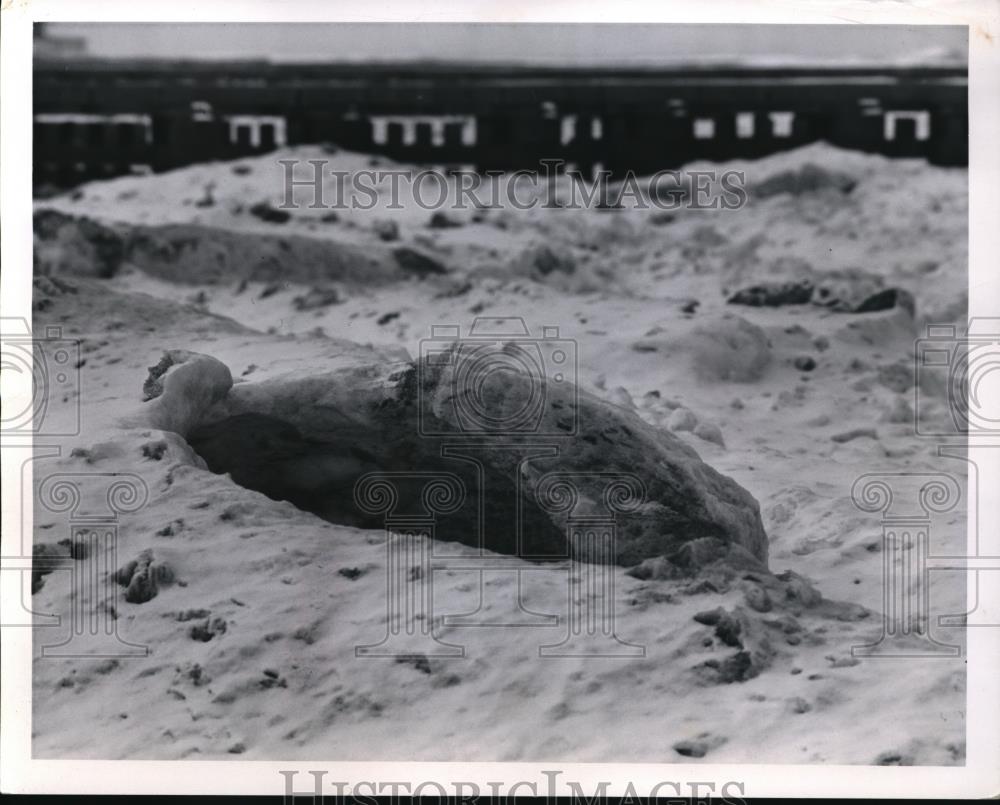 1958 Press Photo Lake Erie Perkins Beach about 100 ft from shore-sea carcass - Historic Images