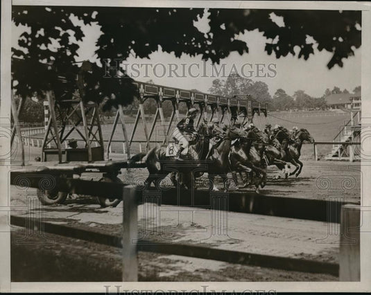 1935 Press Photo Mad Beth, 1st; Number Seven, 2nd; U Demon, 3rd in claim race - Historic Images
