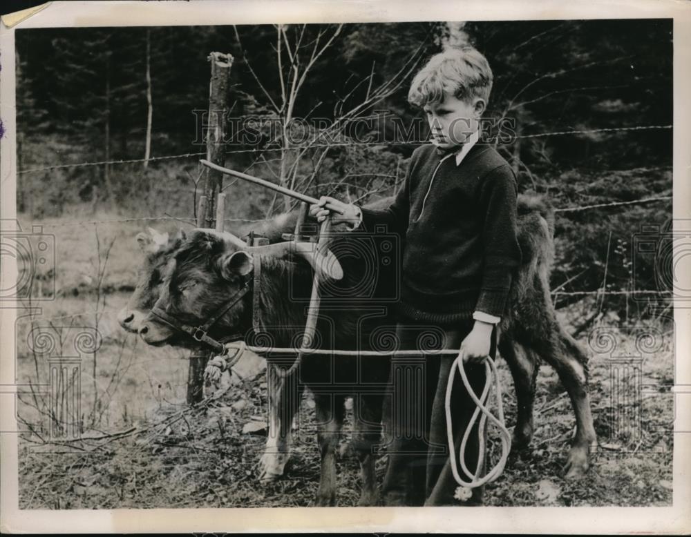1936 Press Photo Ken Gillespie age 9 &amp; two cows on granddads farm - Historic Images