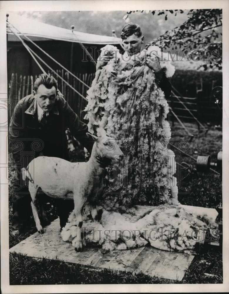 1938 Press Photo London England Young Farmers club shearing sheep - Historic Images