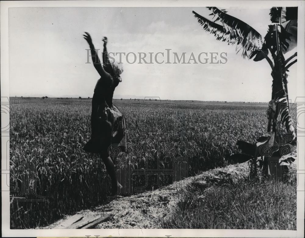 1961 Press Photo Embu Kenya African Nduta Kimani as scarecrow at rice plot - Historic Images