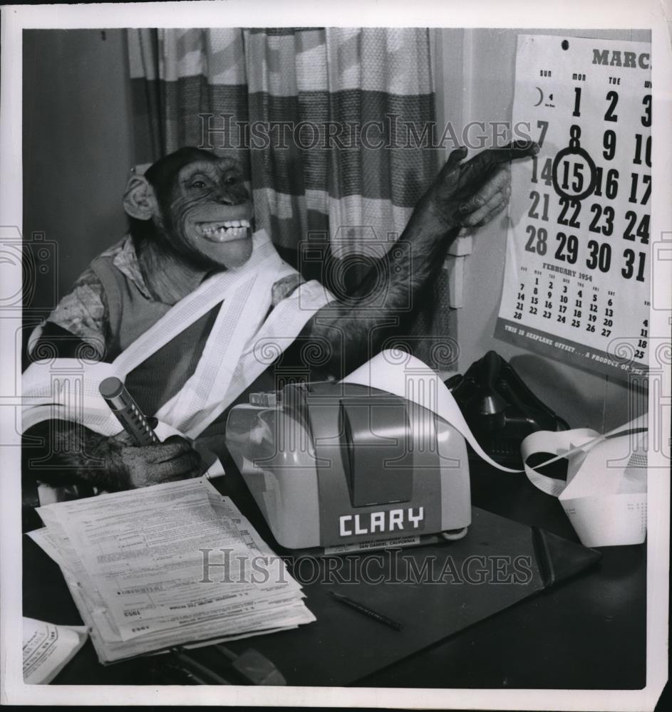 1954 Press Photo Hollywood Bonzo th echimp actor points to IRS deadline - Historic Images