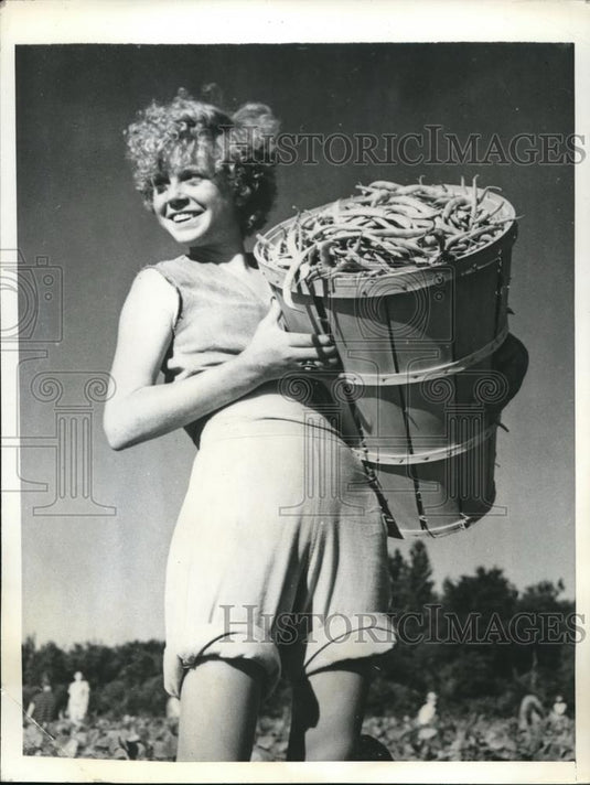 1943 Press Photo Salisbury Md Josephine Ennis age 14 & snap bean crop - Historic Images