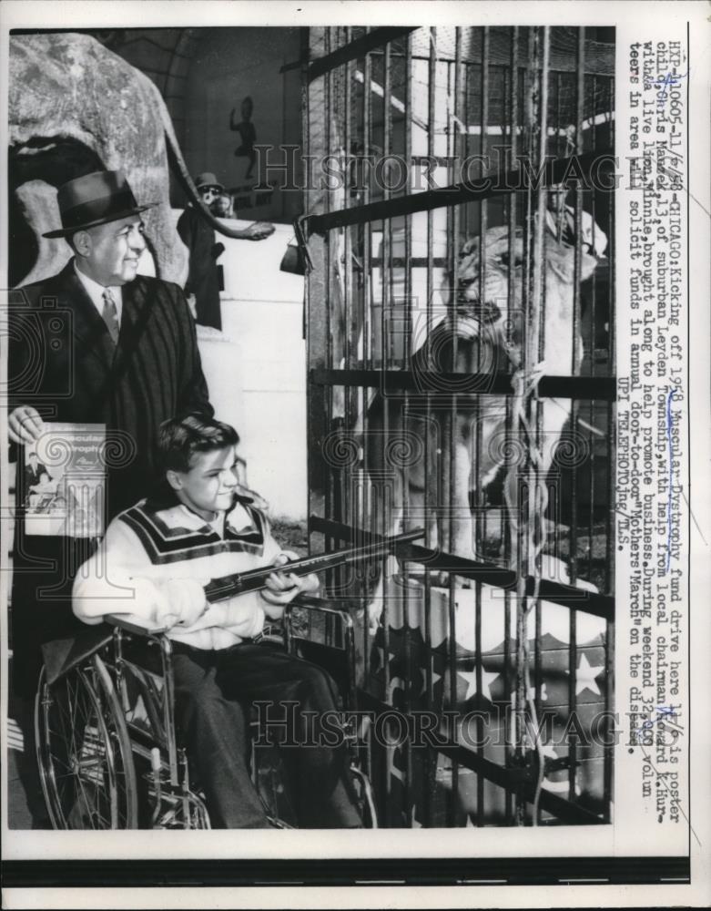 1958 Press Photo Chris Manzek, Poster Child, With Wild Lion - Historic Images