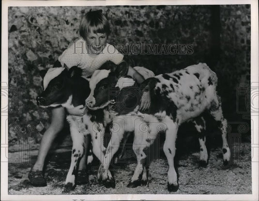 1956 Press Photo Seven-year-old Penny Turner hug cow triplets - Historic Images