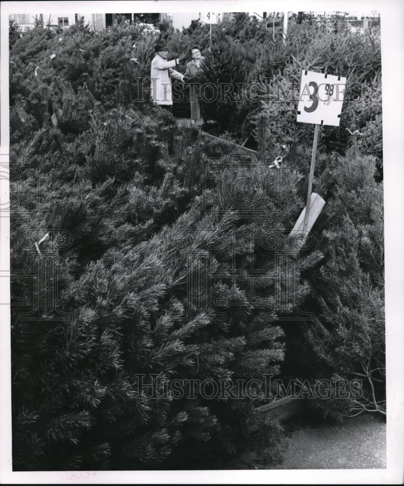 1961 Press Photo 1061 Christmas Tree Display - Historic Images