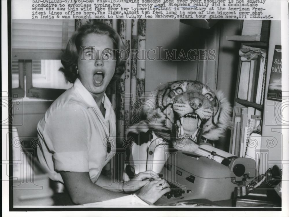 1960 Press Photo San Francisco Lani Stephens &amp; tiger at an office - Historic Images