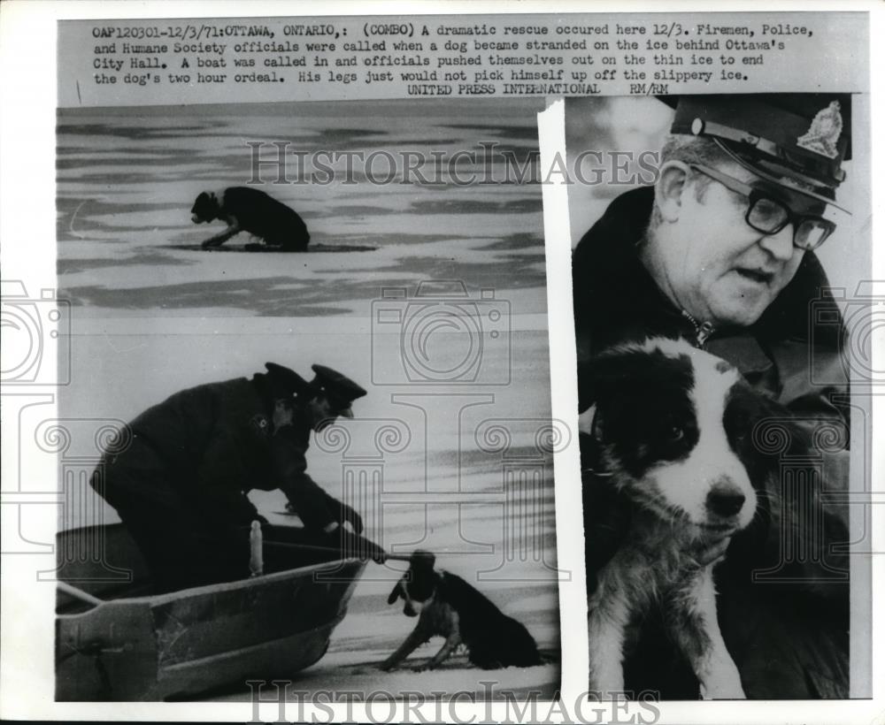 1971 Press Photo Ottawa Canada Humane Society rescues dog stranded on ice - Historic Images
