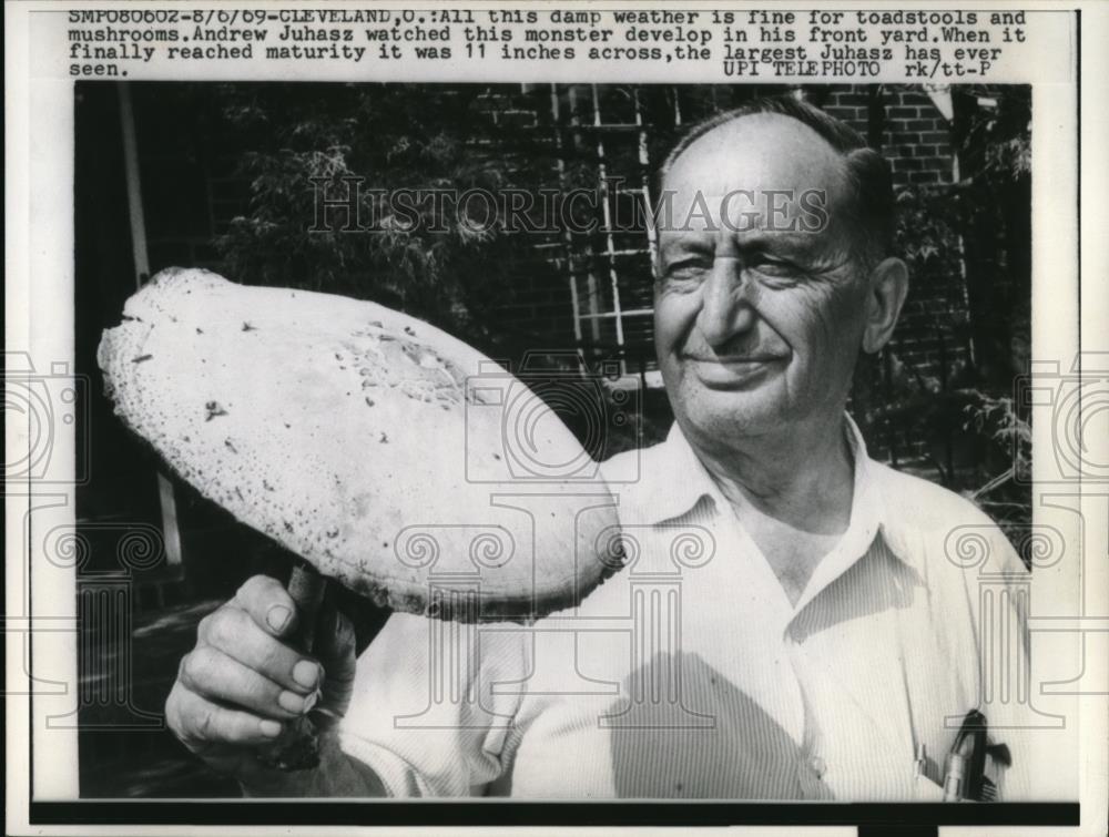 1969 Press Photo Andrew Juhasz found this large mushroom in his front yard. - Historic Images