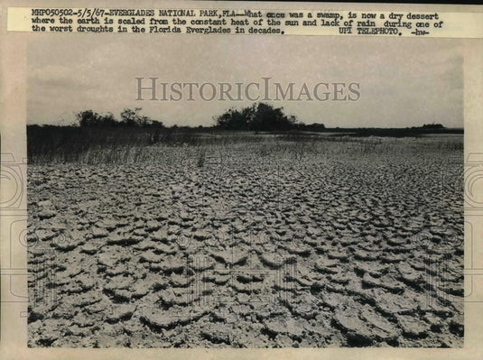 1967 Press Photo Once a swamp, now dry desert - Everglades National Park - Historic Images