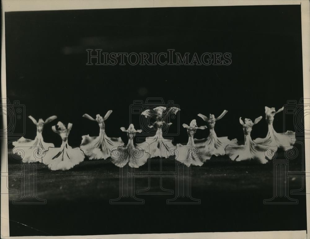 1931 Press Photo Dancing Lady in chorus. - Historic Images