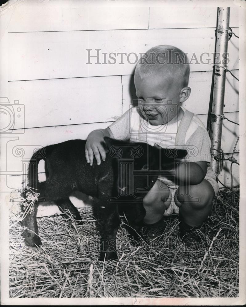 1953 Press Photo Year-Old Steven Lee Nielsen Petting Baby Lamb At County Fair - Historic Images