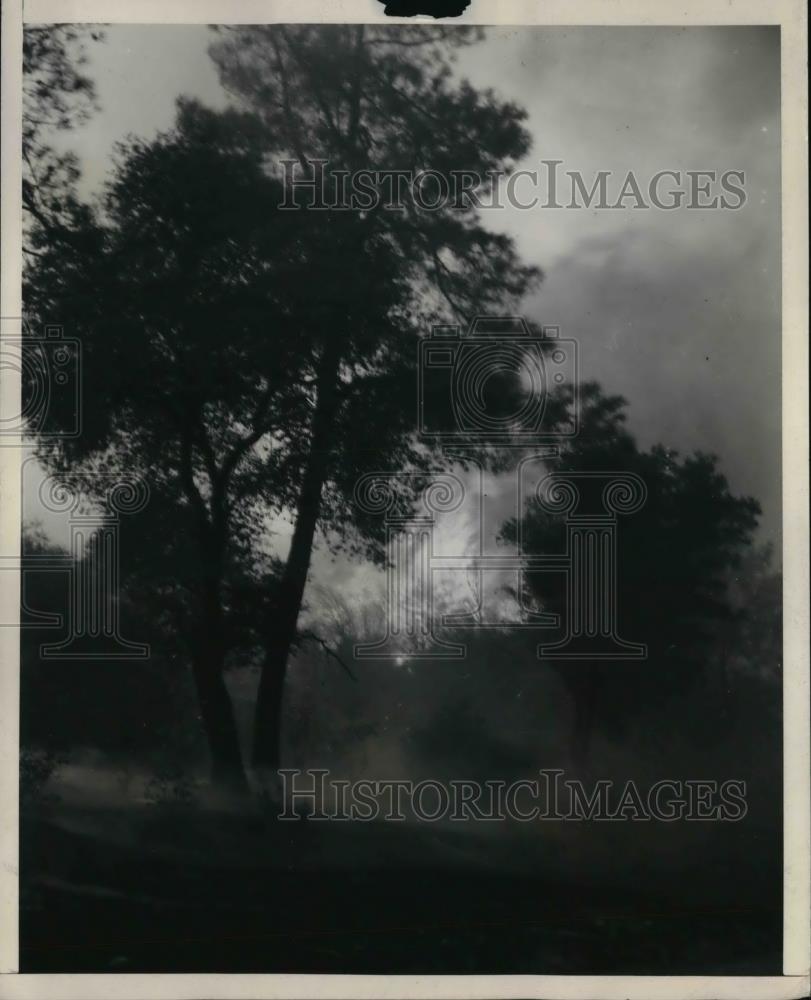 1939 Press Photo Remains of Brush and Forest Fire in Mariposa, CA - Historic Images