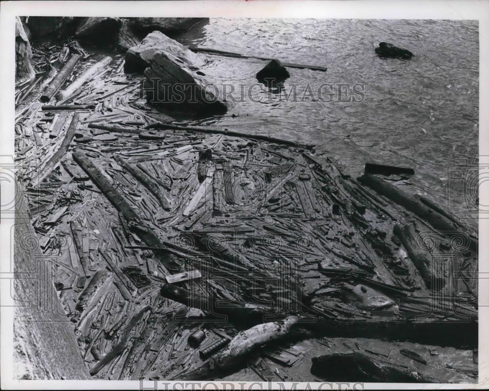 Press Photo Wood piled up at Edgewater flood water backup - Historic Images