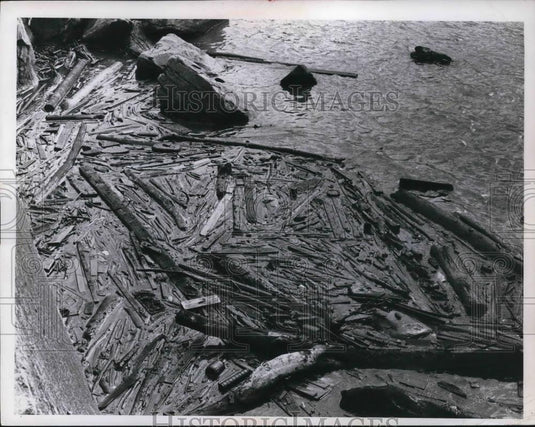Press Photo Wood piled up at Edgewater flood water backup - Historic Images