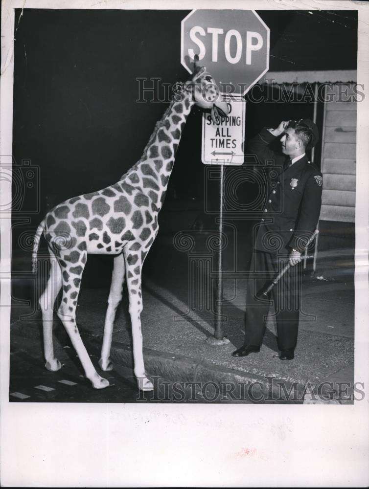 1956 Press Photo Patrolman Nick Nicolan Happens Upon Giraffe In Street - Historic Images