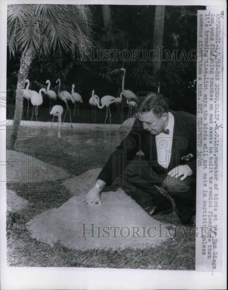 1962 Press Photo K.C. Lint Finishes Up Mud Birds Nest At San Diego Zoo - Historic Images