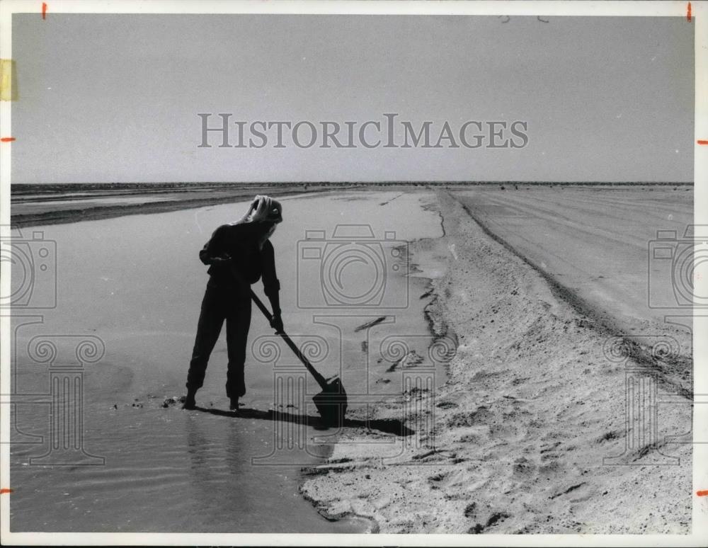 1971 Press Photo Man Shovels On Farm Land - Historic Images