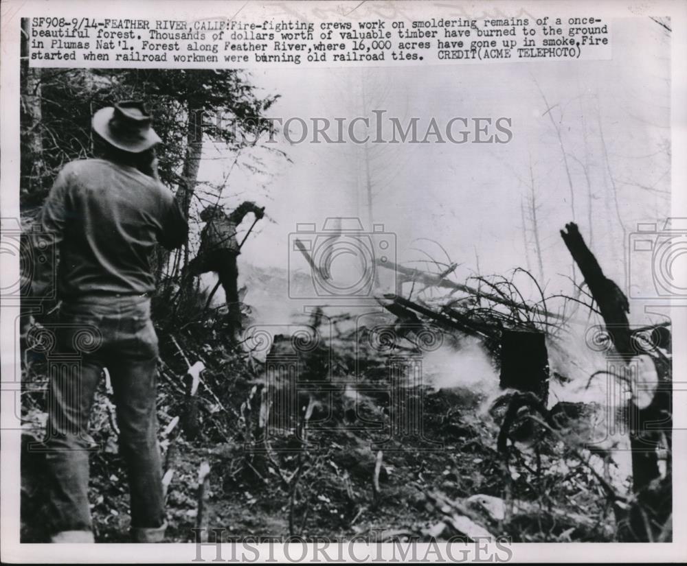 1951 Press Photo Fire Fighters Work On Smoldering Remains Of Once Forest - Historic Images