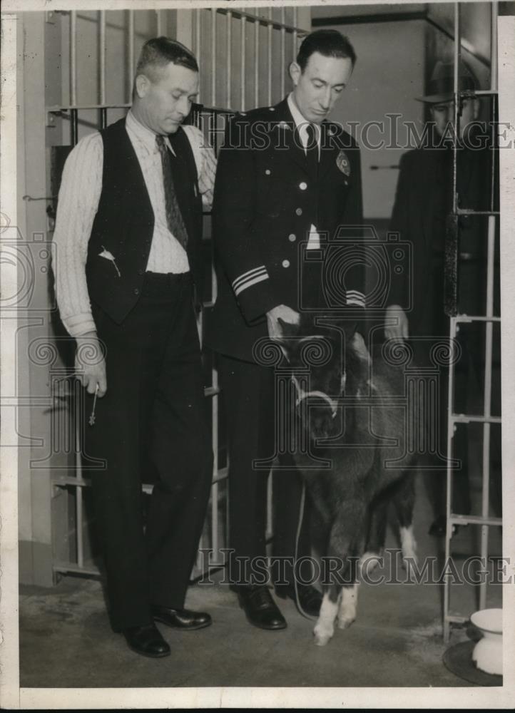 1931 Press Photo J. Ollie Conn, Lieut. A.A. Campbell and &quot;Midge&quot; the horse - Historic Images