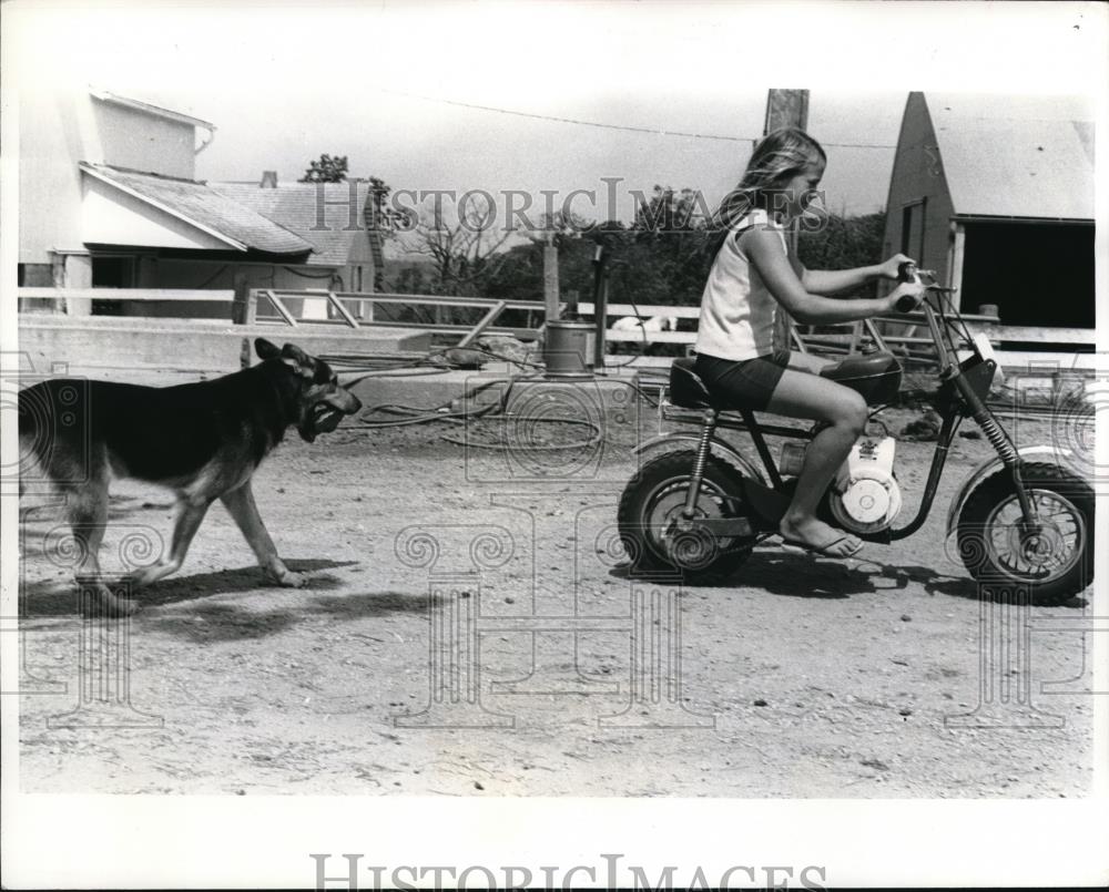 1973 Press Photo Mary Endrulat&#39;s dog, Sparky, carry a rock while she rides bike - Historic Images