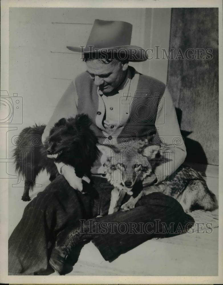 1945 Press Photo A coyote, pet of C.S. Barton, Klamath Falls, Oregon. - Historic Images