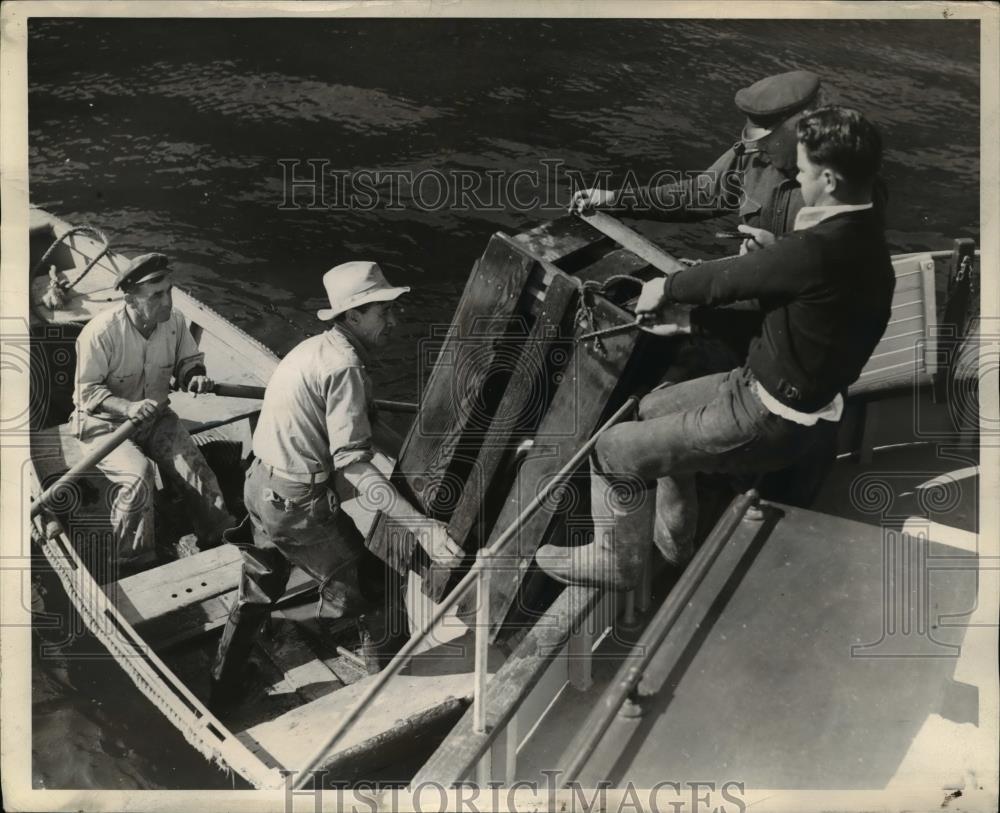 1939 Press Photo Seal being transported from natural habitat on Santa Cruz by - Historic Images