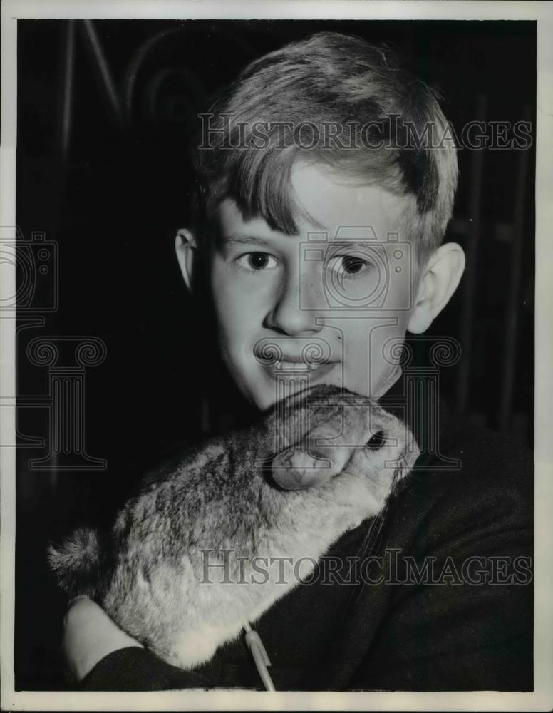 1960 Press Photo Boy Irvine Plant Holding Fluffy Chinchilla, National Livestock - Historic Images